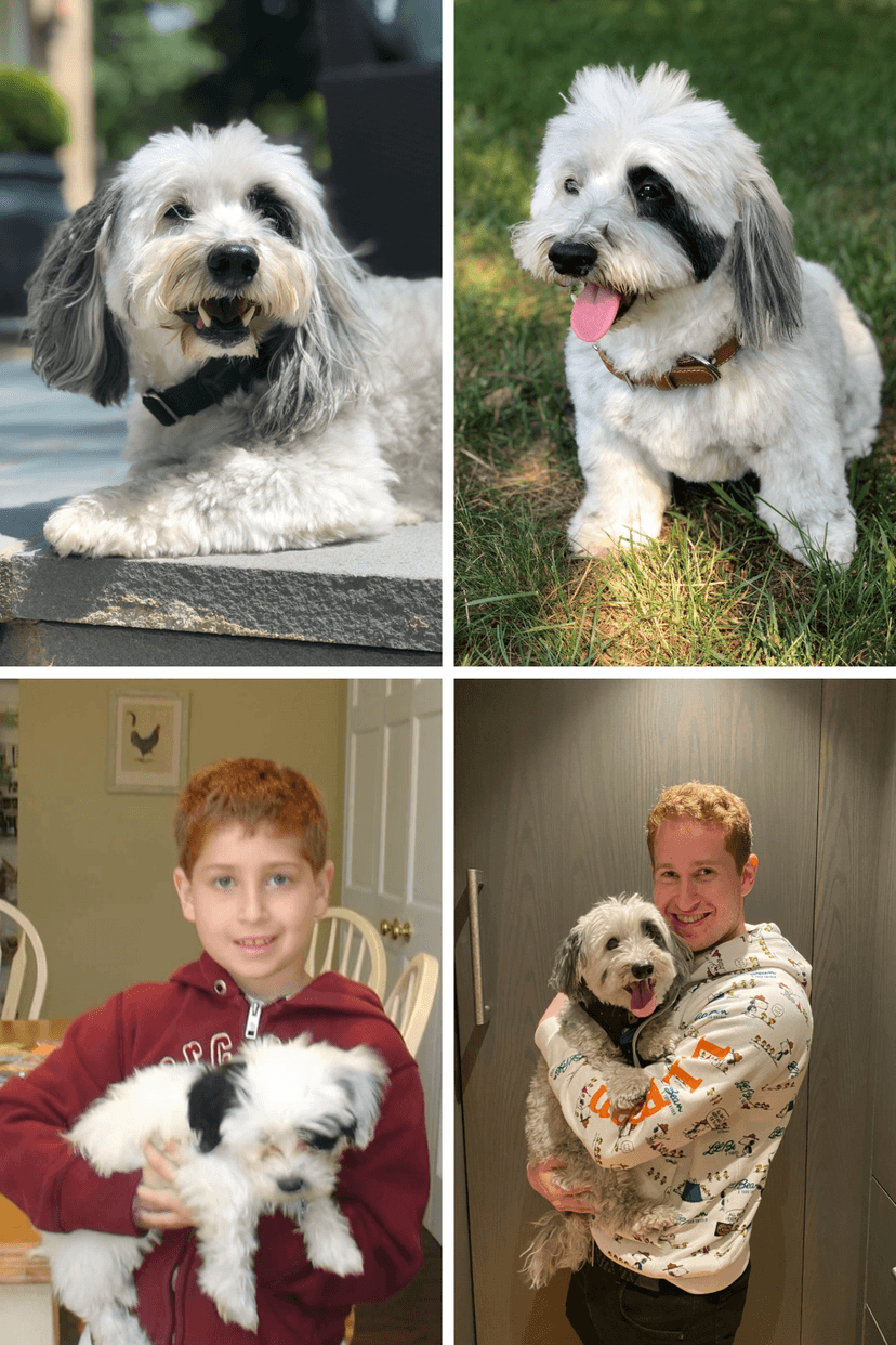 A Boy and his Dog— To Oreo and Joy